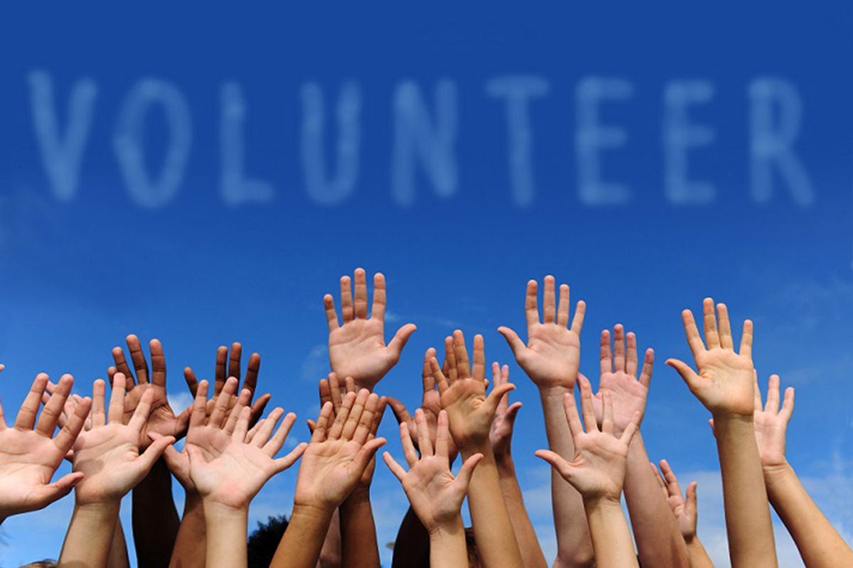 Pro Bono. Legal Education, Volunteerism